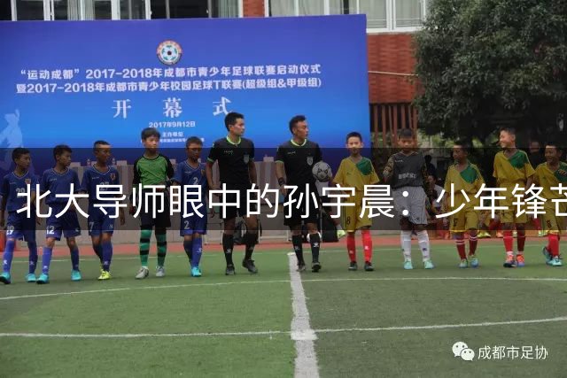 北大导师眼中的孙宇晨：少年锋芒与人生反差